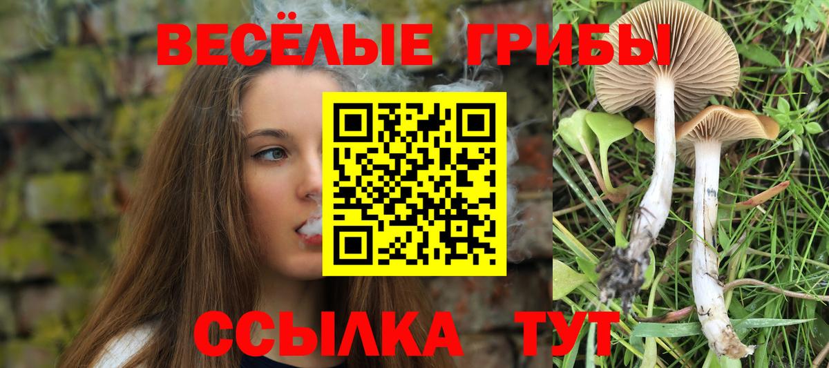 Южноуральск  Галлюциногенные грибы MAGIC MUSHROOMS  наркотики  Вход с VPN  Галлюциногенные грибы Psilocybine cubensis 